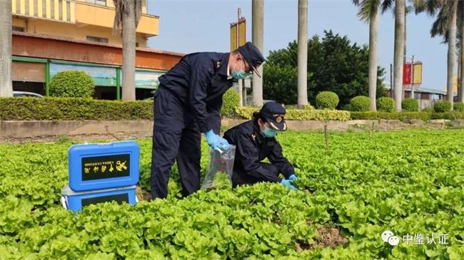 情系同胞 攜手抗疫 ---GZCC獲證企業東升農場超九噸蔬菜助力香港抗疫